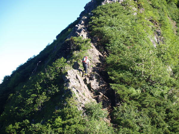 旭岳への岩場。ハイマツや灌木帯なので高度感はありません。