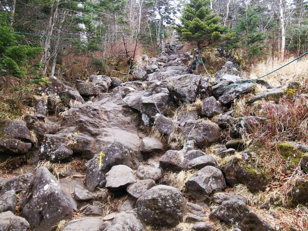 ゴロゴロした大きい岩を登ります。鎖場ですが難しくありません。登山初心者の鎖場初体験には良いかもしれません。