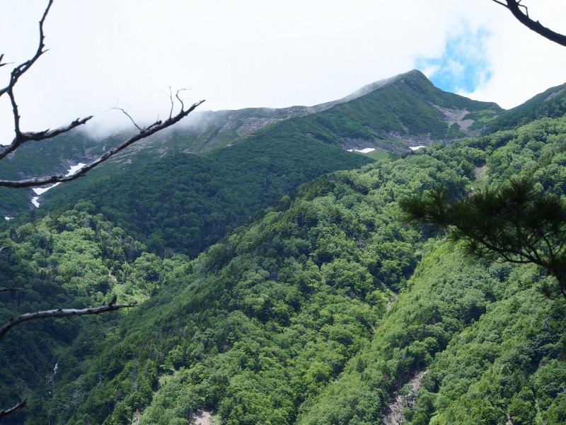 乗越と呼ばれる小さい鞍部からは聖沢を挟んで聖岳がよく見えます。左手の雲に隠れて山頂部が見えない所が前聖岳で、中央の尖って見えるピークが奥聖岳です。