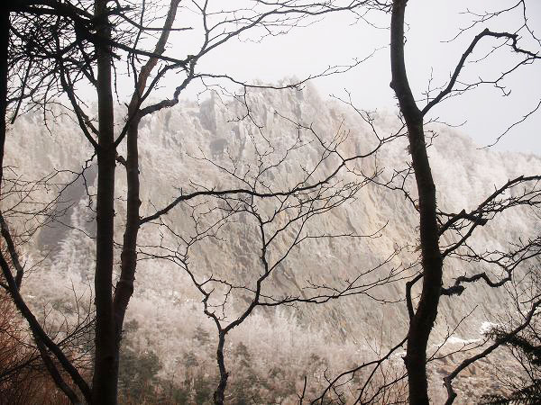 稲子岳の岩壁。