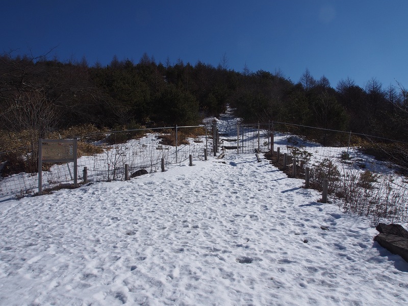 平沢牧場の牧柵を開けて中に入ります。東側の展望が開け、日本百名山の金峰山や瑞牆山が見えてきました。