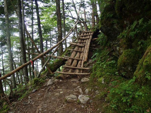 豊口山ノコルから北側の山腹を登るようになります。木製の丸太の橋が随所にあります。高度感はありませんが、雨の日は滑るので注意が必要です。