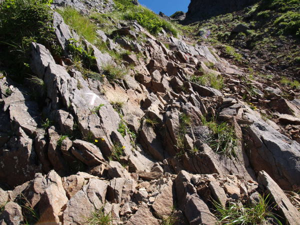 ルンゼ状の岩場の登りが始まります。上方のV字状の所に僅かに見える岩陵のさらにその上に稜線があります。