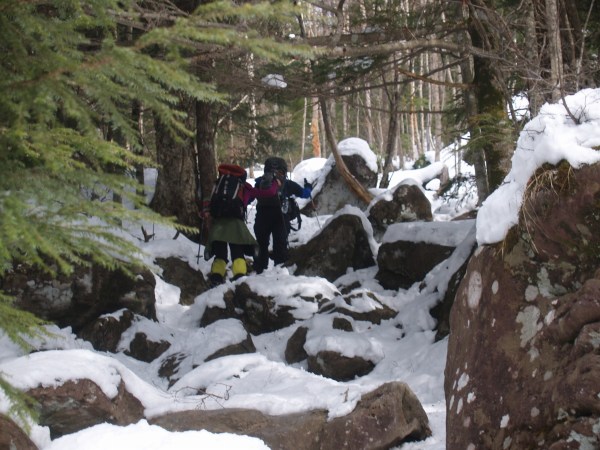 カラマツや白樺の森の中を大岩がゴロゴロした所を登ります。
