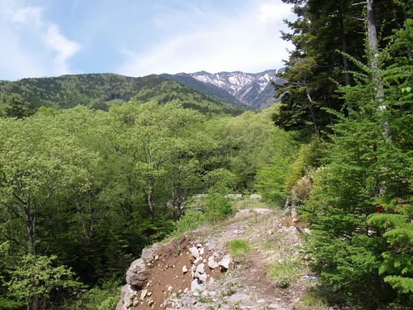 杣添尾根登山口から樹林帯の中に入り、しばらく登った所で左手側に杣添川源頭部の北沢の左岸に出ます。前方には横岳が見えてきます。