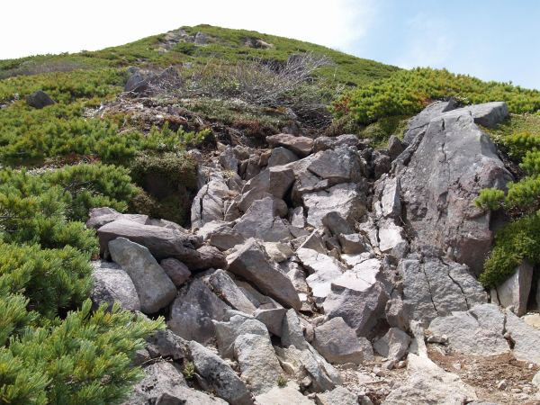 三叉峰直下では大小様々な岩がゴロゴロした岩場を登ります。傾斜は緩く簡単に登ることができます。