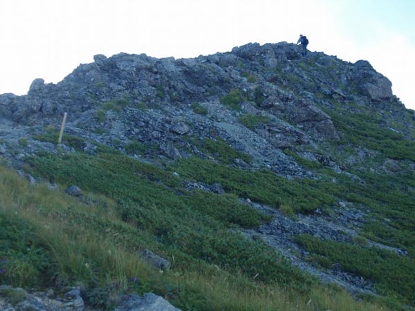 きつい傾斜の斜面は終わり、ここからはなだらかな登りになり、正面ピークの先に塩見岳西峰があります。