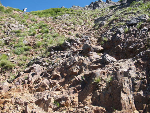 ザレた草付きの登山道をジグザグに登ります。 やや浮石が多いので下山で使う場合にはスリップに注意してください。