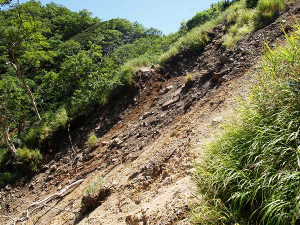 土砂崩れで登山道が流された所を写す。