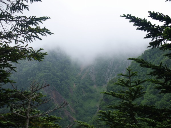 断崖絶壁の権現岳西ギボシを望む。ガスっていなければ大変美しい眺望のはずです。