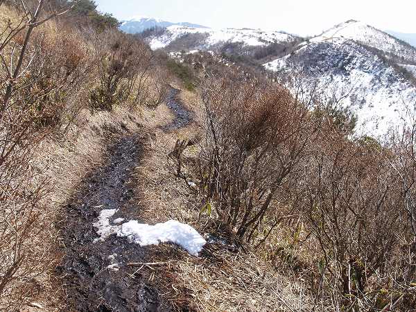 北側にあった登山道は平沢山の南西斜面に回り込むように進んでいます。右手前方のお茶碗にご飯を盛ったような山が飯盛山です。