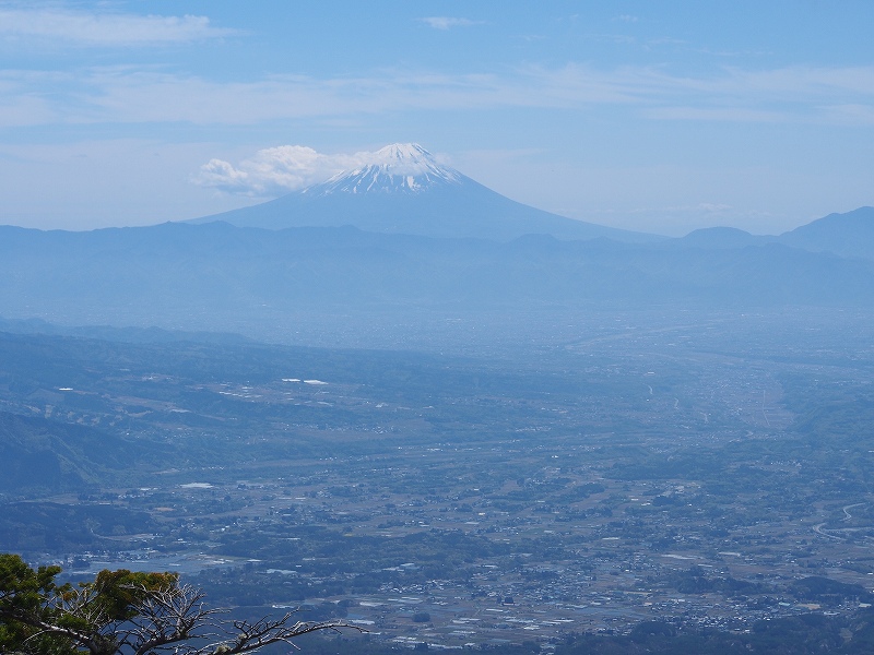 ゴールデンウイークの編笠山から富士山の展望。甲府盆地の先に富士山が聳えます。