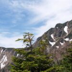 杣添尾根から横岳