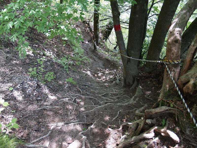 登山道にはロープが設置されています。