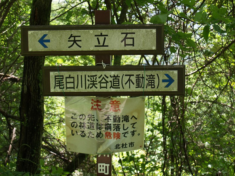 錦滝から尾白川渓谷（不動滝）へのルートは通行止めになっています。林道の崩壊場所は問題ありませんが、その先の登山道に問題があるようです。