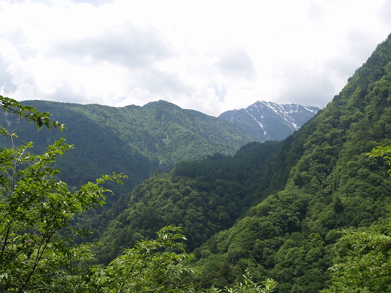林道からの眺め　黒戸尾根が甲斐駒ケ岳に向かって伸びています。
