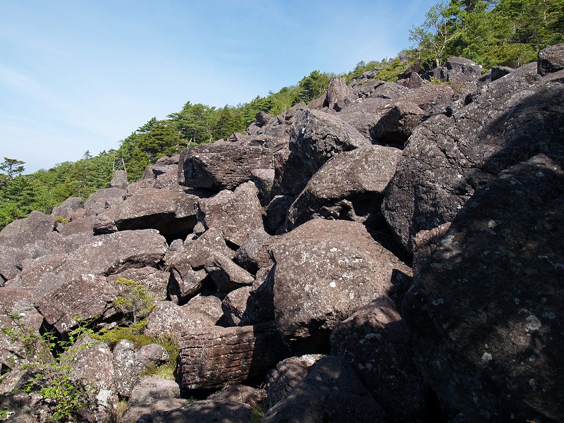 登山道から少し外れた所に、大きな岩がゴロゴロした場所が広がっています。