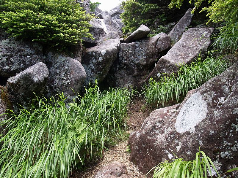 ゴツゴツとした岩石帯の急斜面が始まります。標高差100メートル程で「編笠山」山頂です。