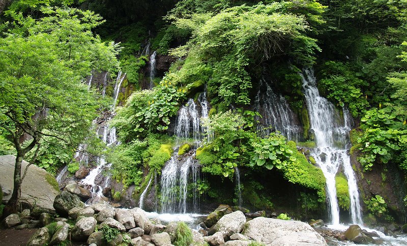苔むした山肌を流れる落ちる夏の吐竜の滝
