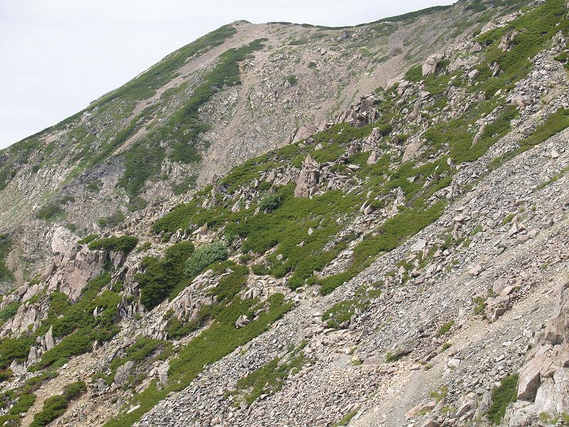 鞍部まで下ると、岩稜の西側斜面を進むようになっています。