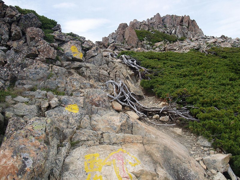 黄色ペンキマークに従い、この岩を登れば西農鳥岳山頂です。