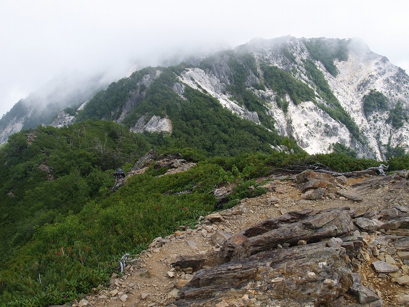 高嶺山頂から鳳凰三山を撮影。白い花崗岩の斜面が大変美しい所です。