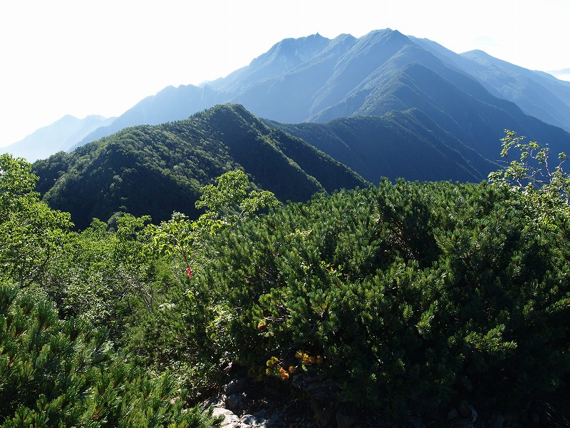ミヨシノ頭から早川尾根を振り返る。鋭く尖っているのが地蔵岳のオベリスクです。