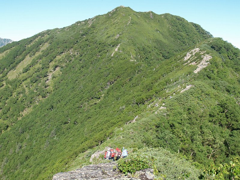 ミヨシノ頭から一旦下り、正面ピークのアサヨ峰に向けて登り返します。