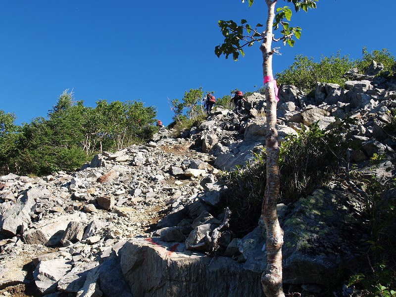 前写真のアサヨ峰間にある小ピークの左斜面のザレた部分の登りです。