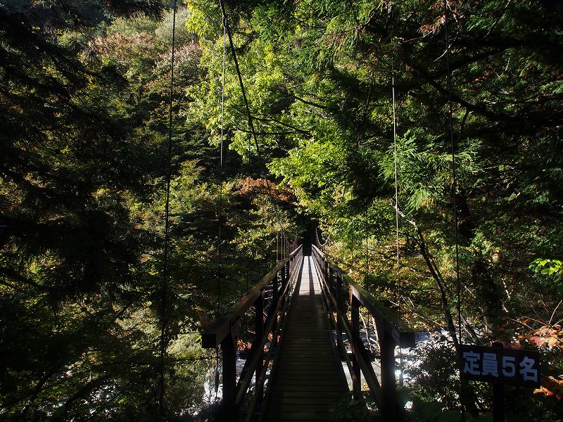 名水百選の尾白川にかかる吊り橋を渡ります。