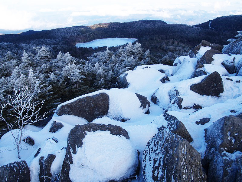高見石から望む白駒池は全面結氷していますね。