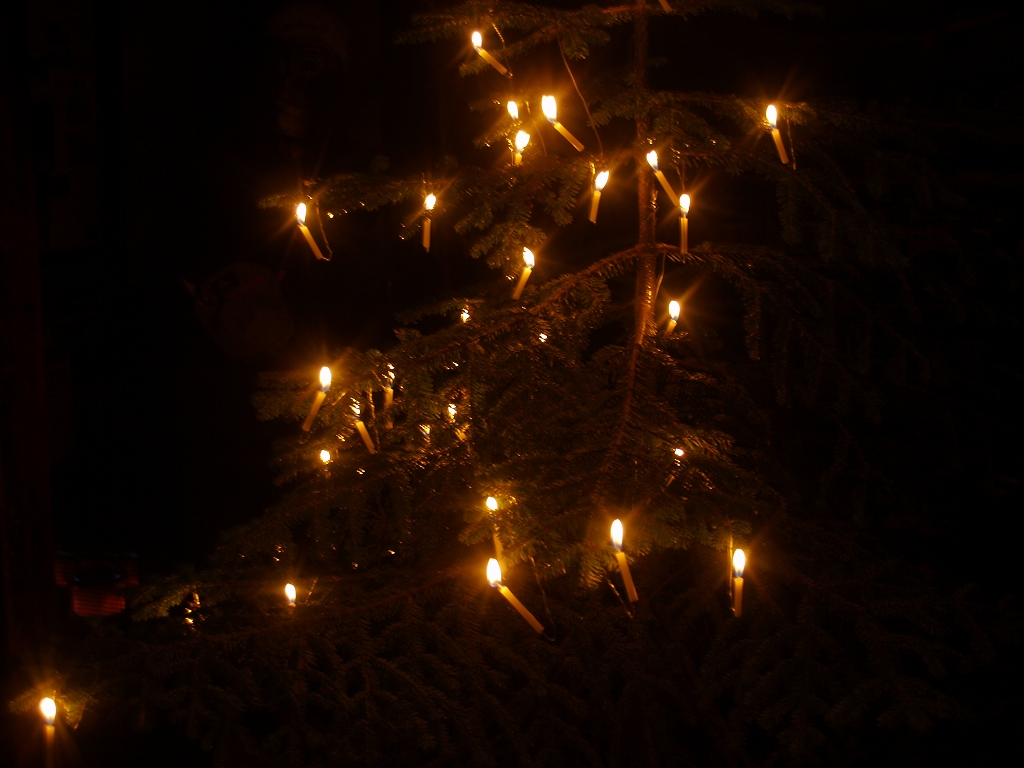クリスマスツリー。宿泊者一人一人にロウソクが手渡され、モミの木に掛けます。