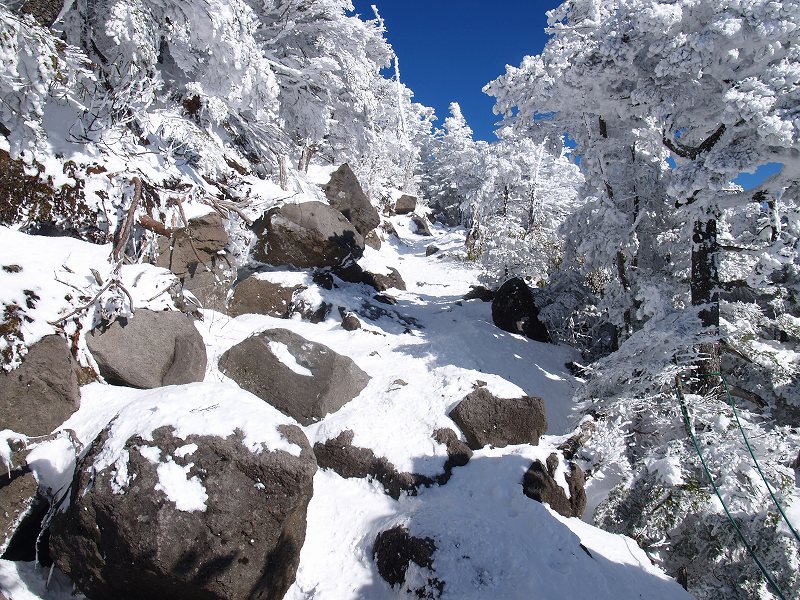 ジグザグを切りながら真っ白な世界を登っていきます。樹林に降り積もった雪と青空がマッチして大変美しい光景を作り出しています。