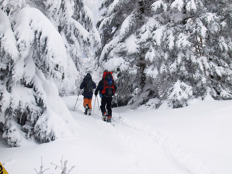 あと４０分ほど平坦な雪道を歩くと北八ヶ岳ロープウェイ山頂駅です。