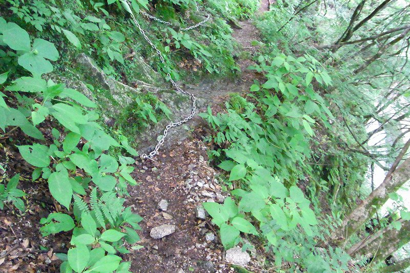 前の写真の位置を近くから撮影 。登山道の幅が狭く、部分的に崩落している箇所があります。できるだけ山側を通行する様にしましょう。尾白川渓谷側は切れ落ちていますから、雨で登山道が滑ると滑落の危険がある所です。