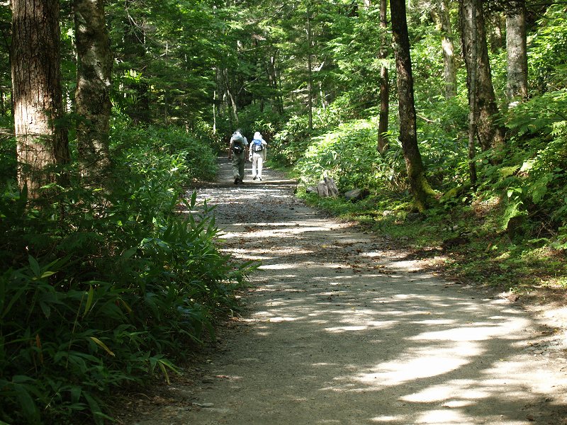 横尾山荘から５分の区間は遊歩道