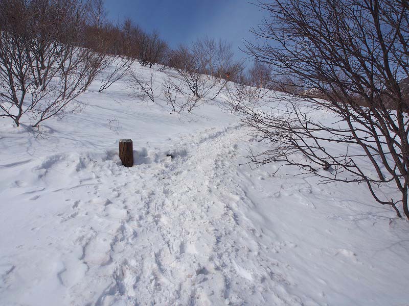 雪道は固く閉まって歩きやすい