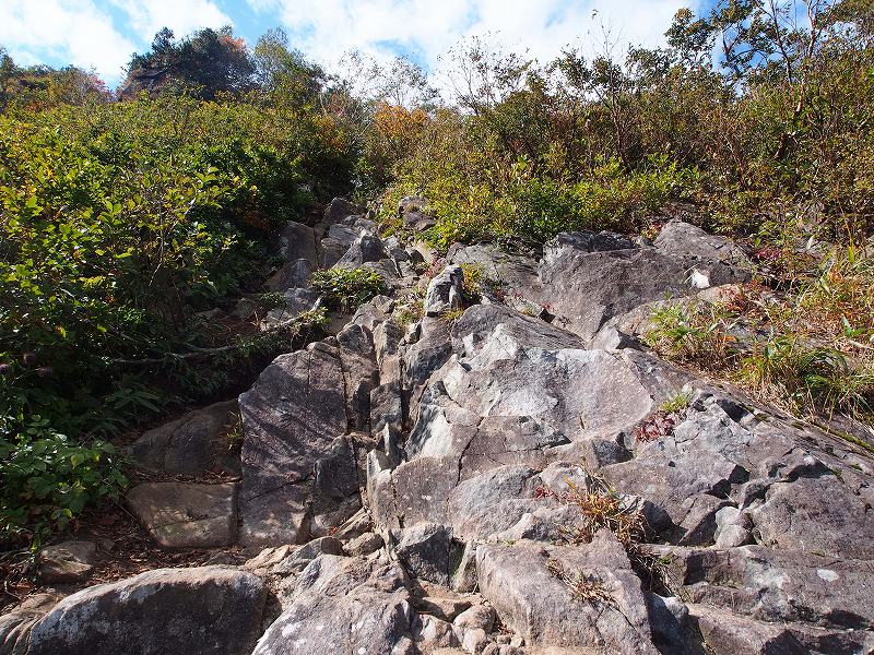 灌木帯の岩稜