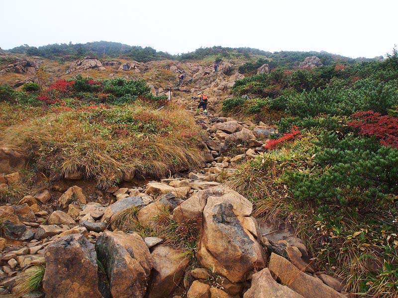 蛇紋岩の登山道は雨天時スリップ注意