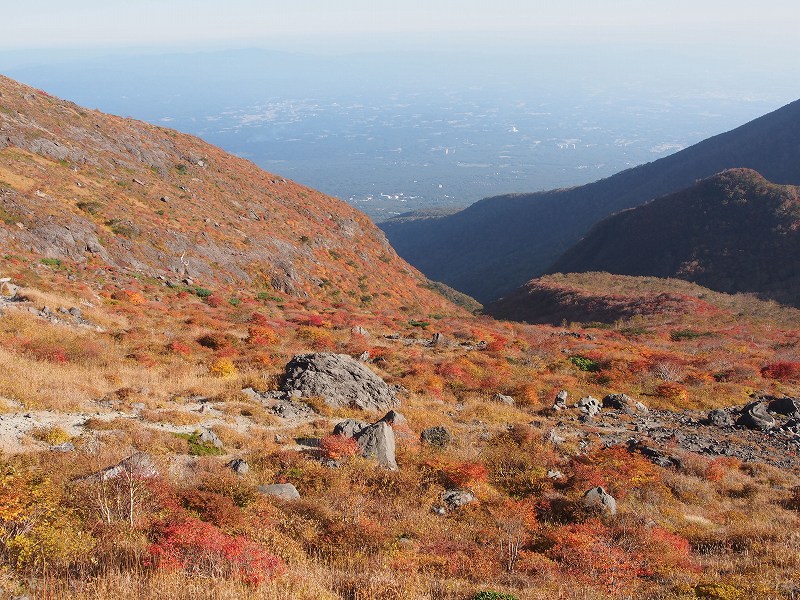 茶臼岳南側の紅葉