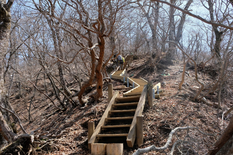 檜洞丸山頂近くの木製階段