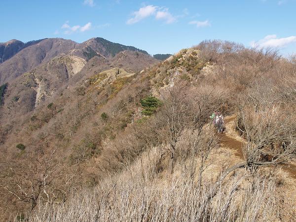 烏尾山から行者ヶ岳への稜線