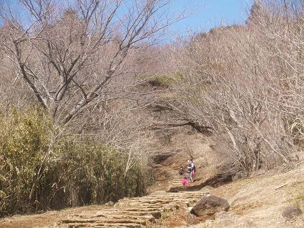 笹原➡樹林帯へ