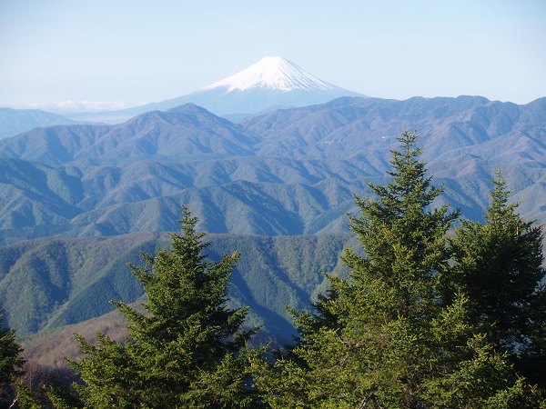 大菩薩嶺の先に富士山を望む