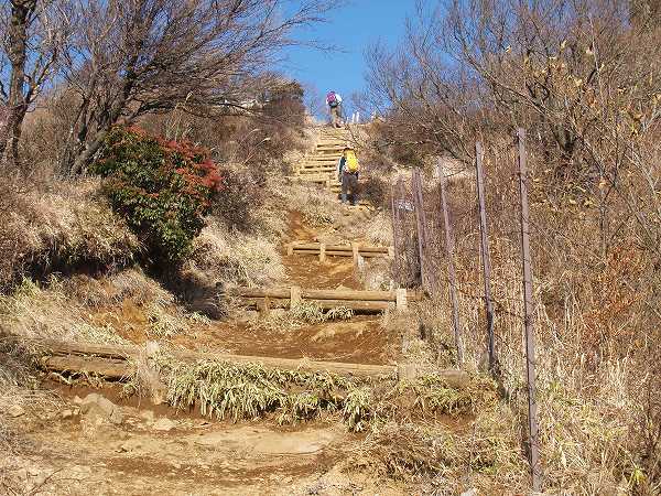 新大日ピーク下の土砂崩れ防止の丸太階段
