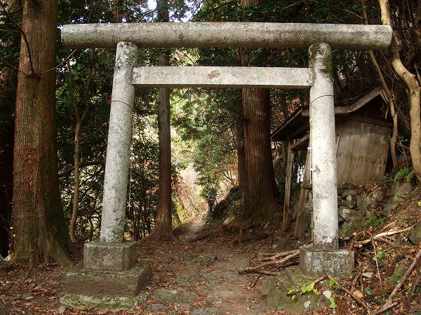 両神明神社の鳥居をくぐり進む