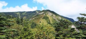 四阿山-鳥居峠コース