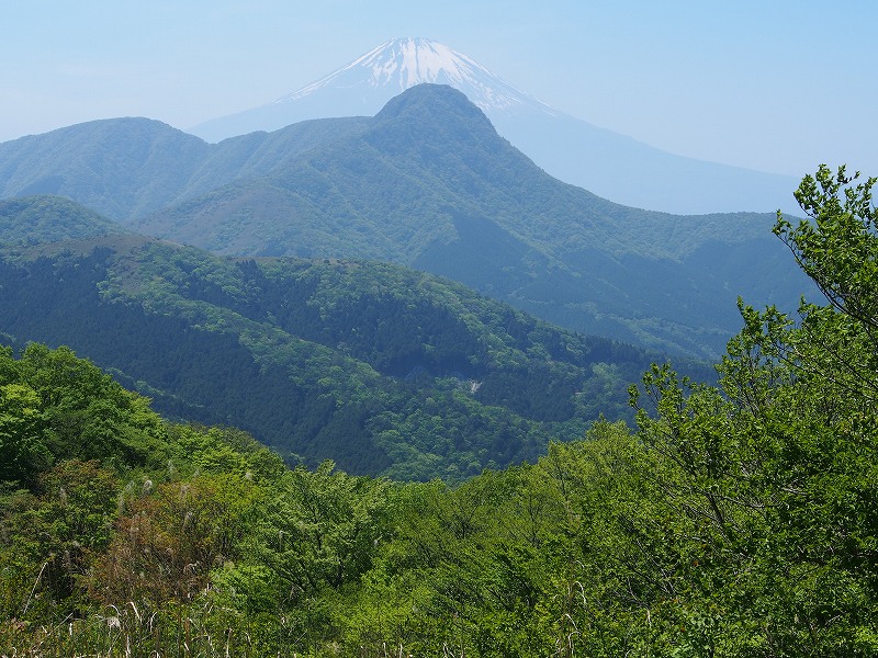 金時山と富士山のコラボ