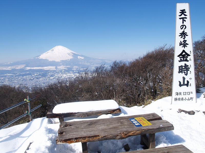 金時山山頂からの富士山
