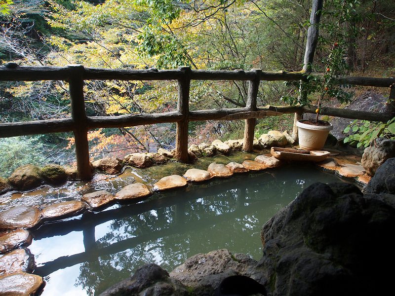 赤城温泉 花の宿 湯之沢館